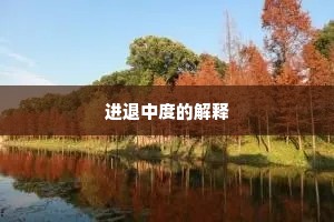进退中度的解释