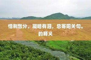 笳吹古堞边声远，岳倚晴空楚色高。出自哪首诗？