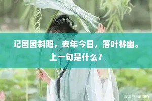鸑抱云霞朝凤阙，鱼翻波浪化龙宫。的释义