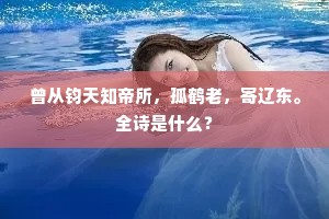 中峰高拄泬寥天，上有茅庵与石泉。的意思及出处
