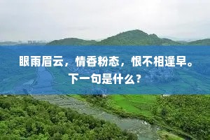 海气暗蒸莲叶沼，山光晴逗苇花村。出自哪首诗？