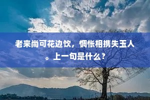 还吴东去过澄城，楼上清风酒半醒。的解释