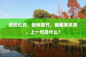 拾遗帝侧知难得，官紧才微恐不胜。的意思及出处