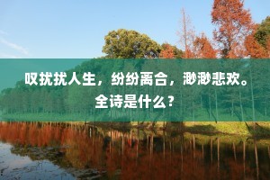 时人多笑乐幽栖，晚起闲行独杖藜。的释义