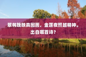 谠言嘉论成语的拼音