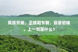 谠言直声成语的解释