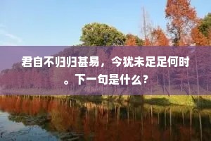 如今非是秦时世，更隐桃花亦笑人。的解释