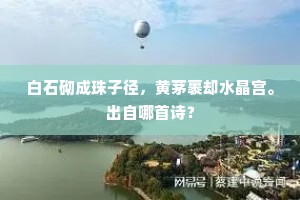 此地定由天造险，古来长恃作金汤。的释义