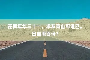 正堪西上文场战，空向途中泥妇人。的解释