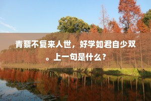 娑萝掩映迷仙洞，薜荔累垂缴古松。的解释