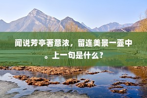 盗憎主人成语的拼音