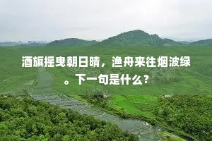 千里客心难寄梦，两行乡泪为君流。的释义
