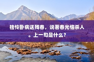图中含景随残照，琴里流泉寄逝波。的意思及出处