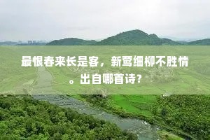 今朝偶得高阳伴，从放山翁醉似泥。全诗是什么？