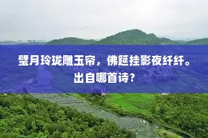 鹦鹉休言秦地乐，回头一顾一相思。的解释