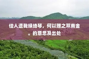 电流星散成语的拼音