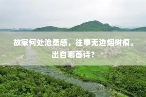 美擅东堂登甲乙，荣同内署侍恩私。的释义