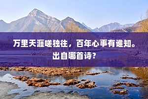 吊民伐罪成语的释义
