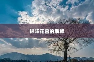从容一衲分若有，萧瑟两鬓吾能髡。的意思及出处
