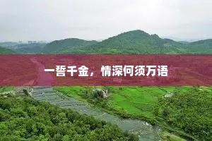 一誓千金，情深何须万语