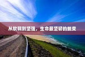 丁是丁，卯是卯成语的拼音