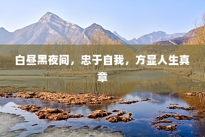白昼黑夜间，忠于自我，方显人生真章