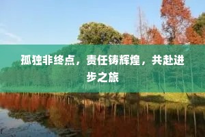 孤独非终点，责任铸辉煌，共赴进步之旅