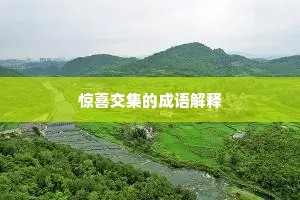 惊喜交集的成语解释