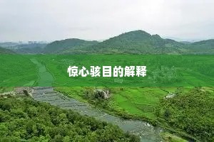 惊心骇目的解释