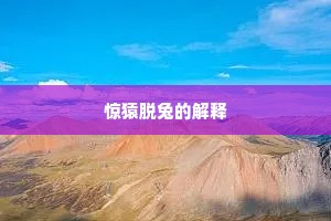 惊猿脱兔的解释