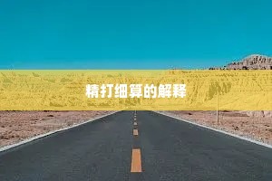 精打细算的解释