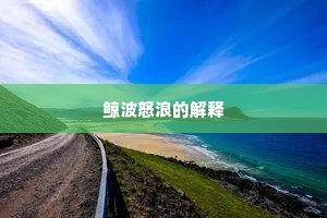鲸波怒浪的解释
