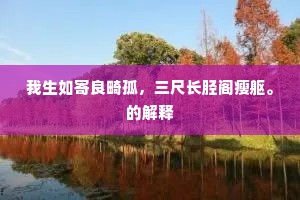 洞若观火成语的拼音