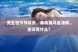 洞隐烛微成语的解释