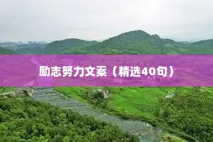 情感语录文艺治愈短句（通用40句）