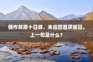 后世何人来飞升，紫阳真人李八百。的解释