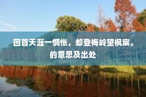 东西易面成语的释义