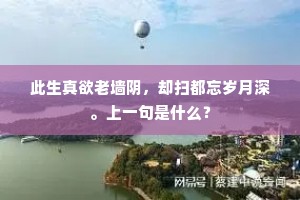 红妆醉起一花落，更引春风无限情。的释义
