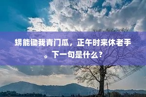 自罹盗贼人传死，重见交游我幸存。的解释
