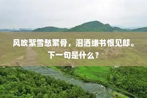 读书种子成语的解释