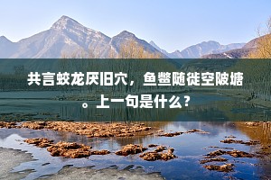 纵是了然云外客，每瞻瓶几泪还流。全诗是什么？