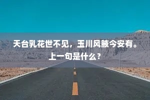 黄河九曲天边落，华岳三峰马上来。的释义