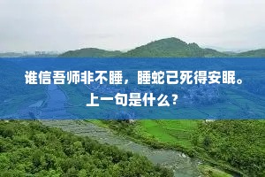 独木难支成语的解释