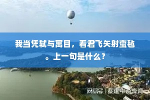 独竖一帜成语的解释