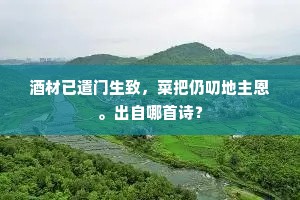 独行其是成语的释义