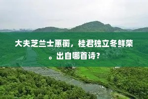 独占鳌头成语的拼音