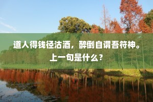 历尽崎岖上碧岑,高山流水似鸣琴。的意思及出处 历尽崎岖上碧岑,高山流水似鸣琴。的意思及出处