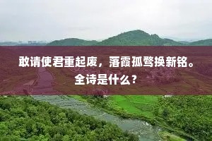 独出己见成语的拼音