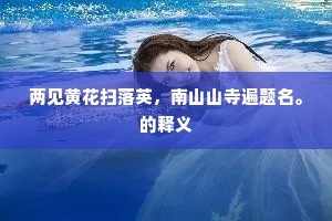 使君公退便游此，却恐吾皇急诏归。的释义