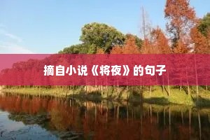 猫和老鼠治愈情感语录（精选8篇）